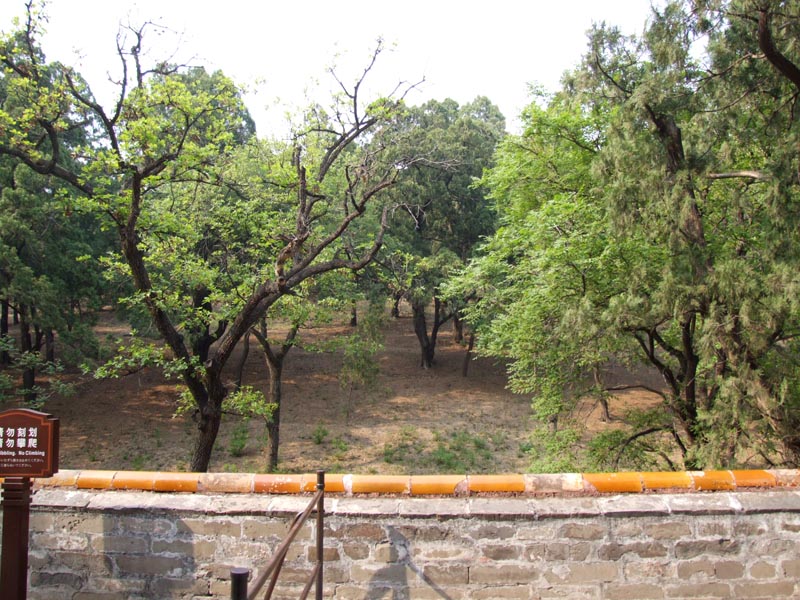 Pékin
