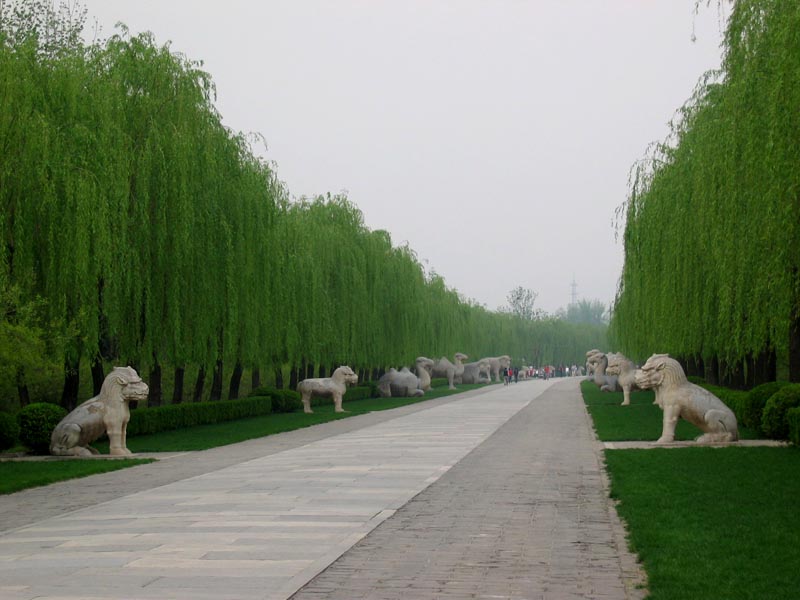 Pékin