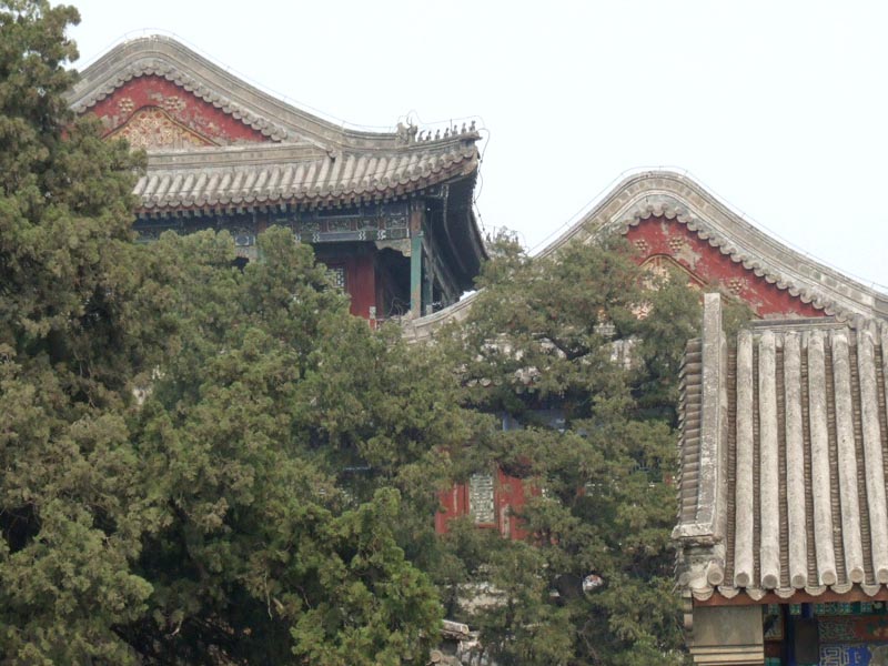 Pékin