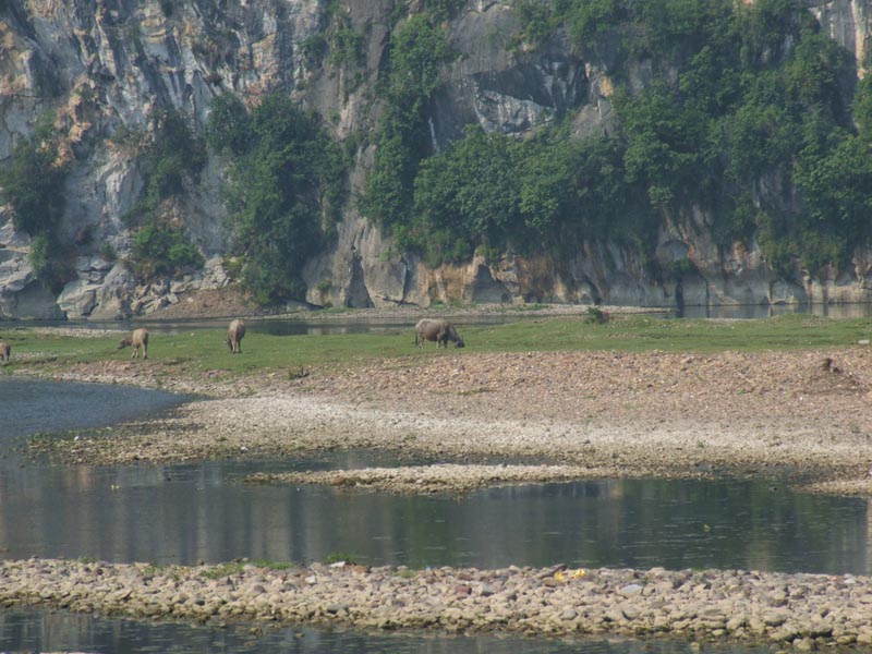 Guilin