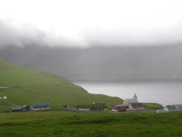 Viðareiði