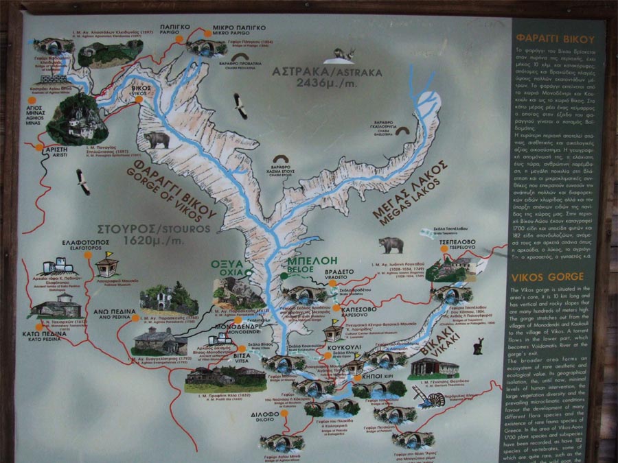 les gorges de Vikos