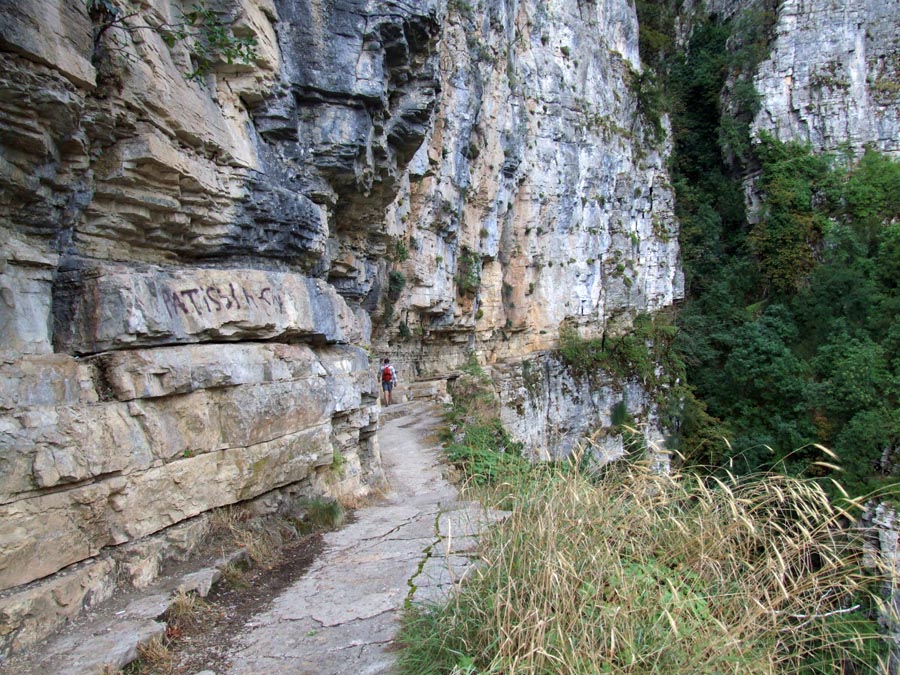 les gorges de Vikos