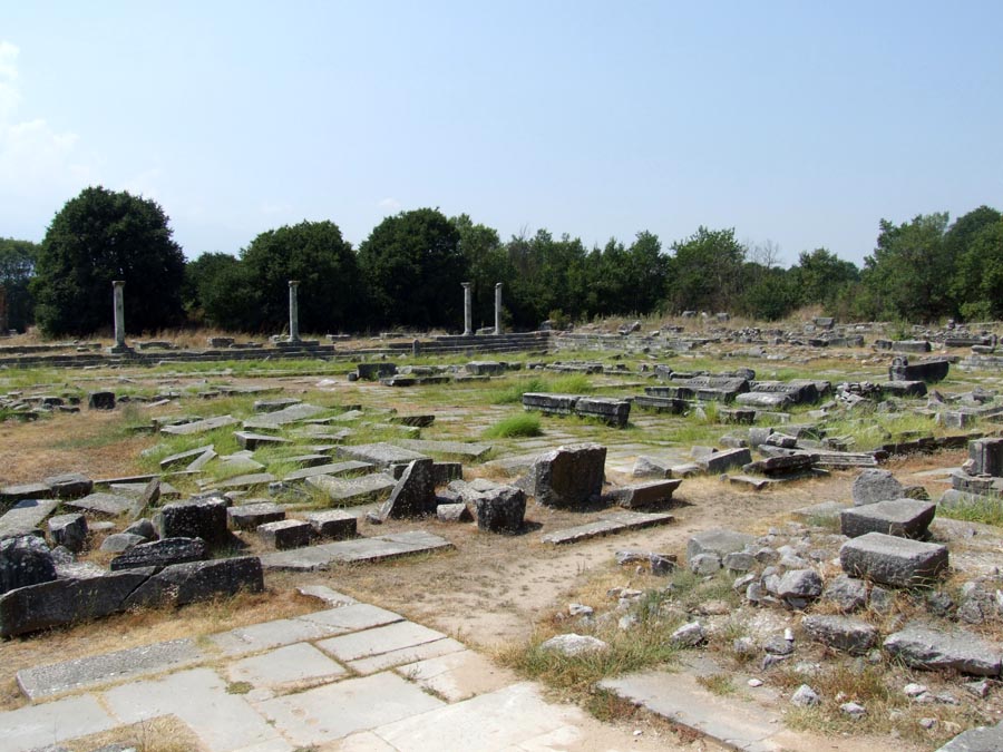 Filippi - forum