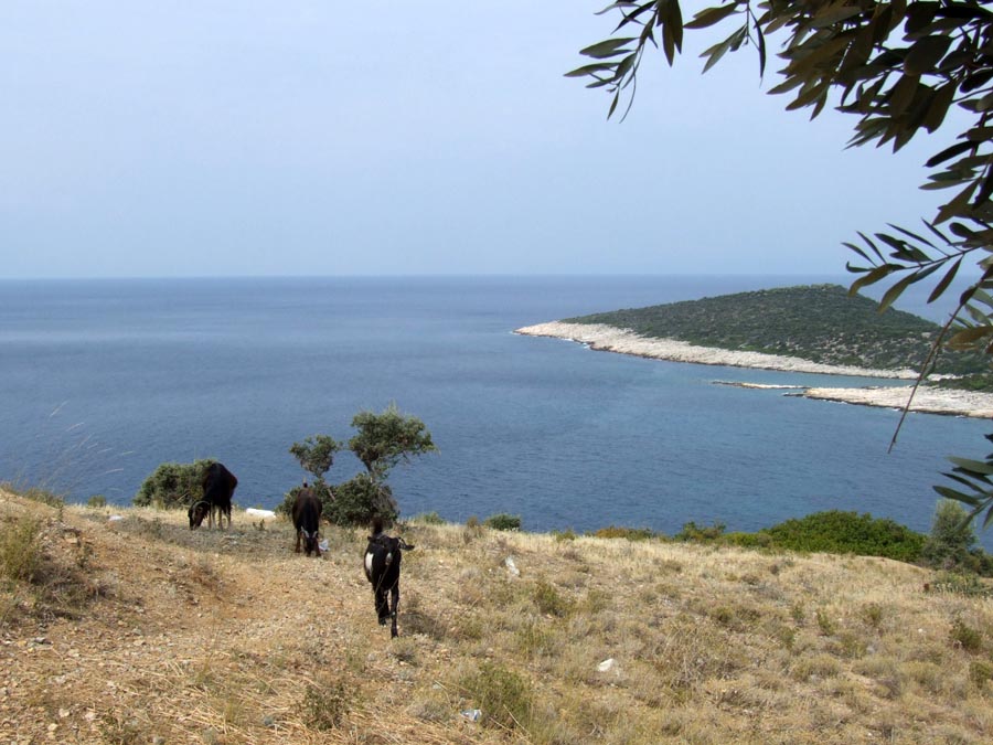 Thassos