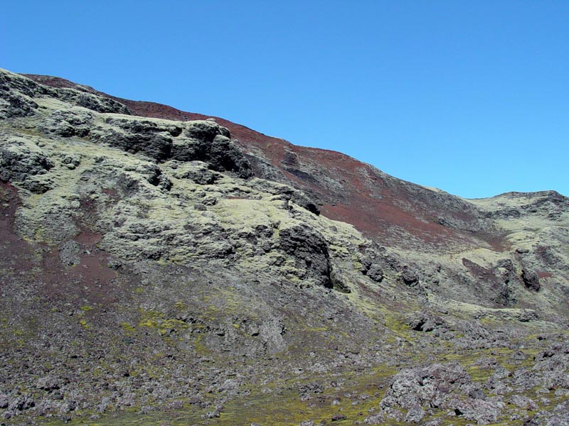 des coloris étranges