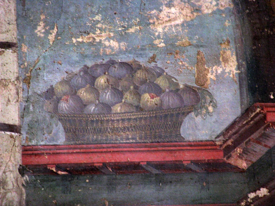 Oplontis