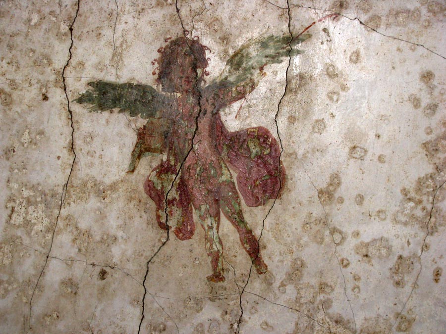 Oplontis