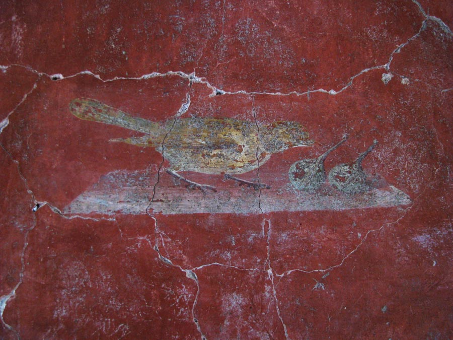 Oplontis