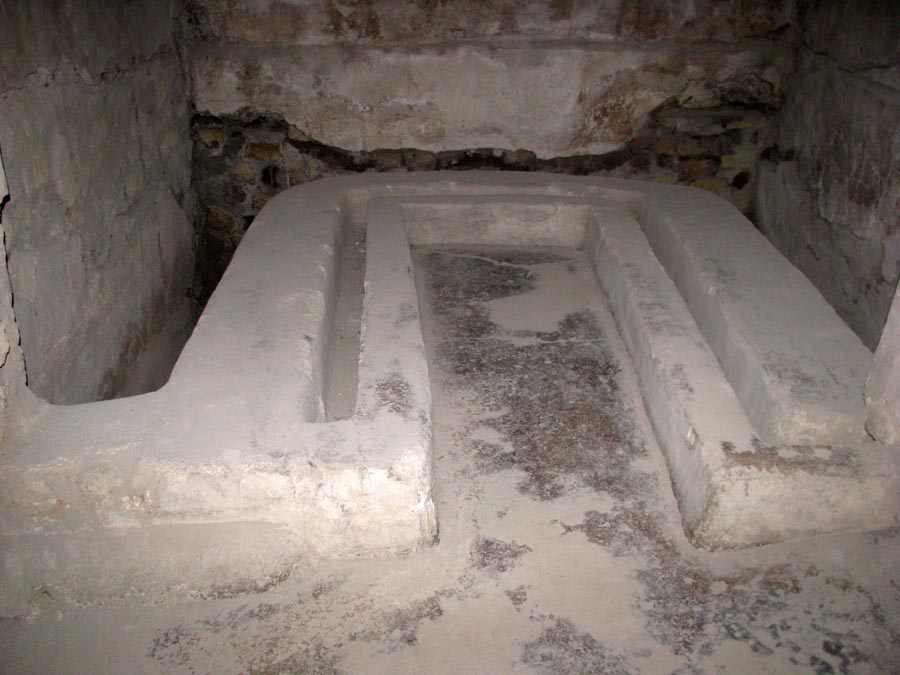 Oplontis