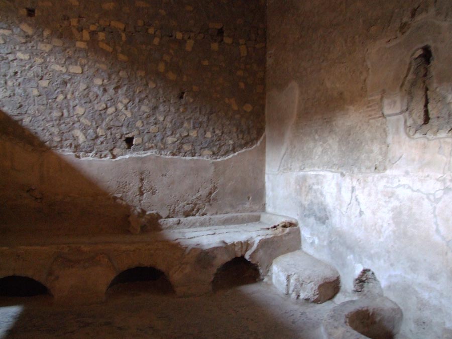 Oplontis