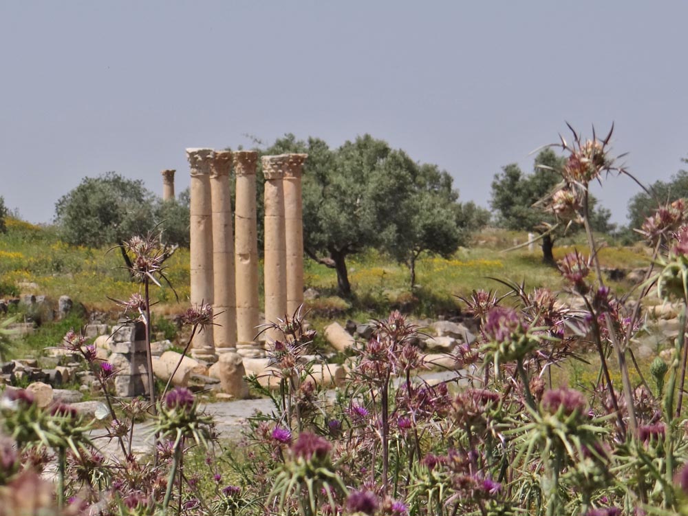 Gadara