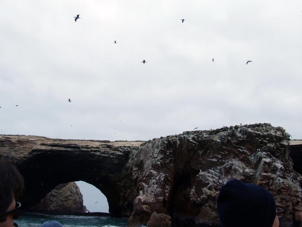 ballestas