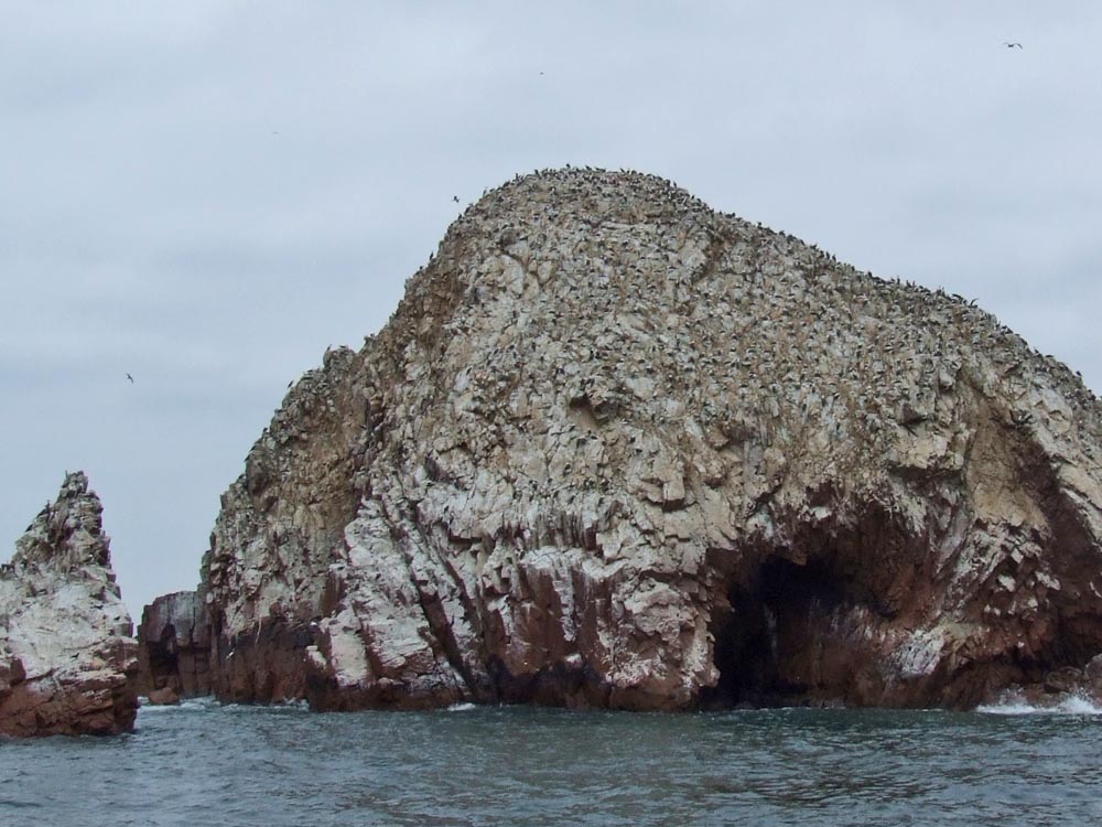 ballestas