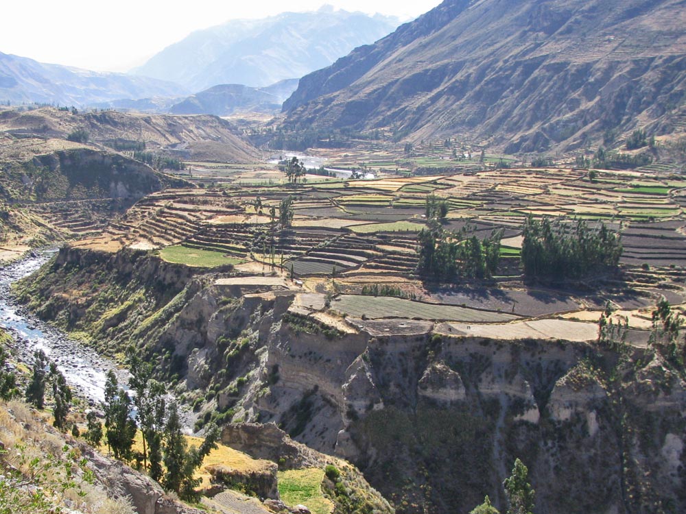 colca