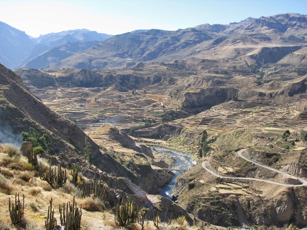 colca