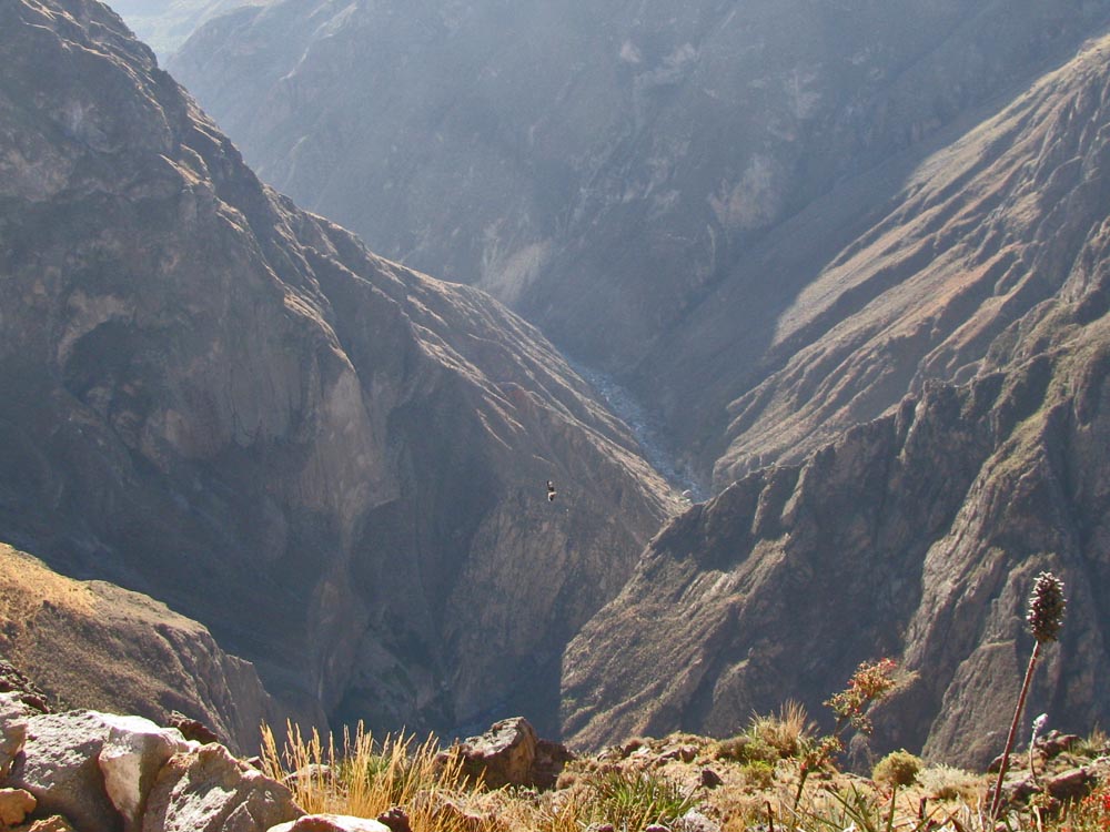 colca