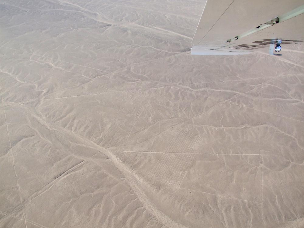 nazca