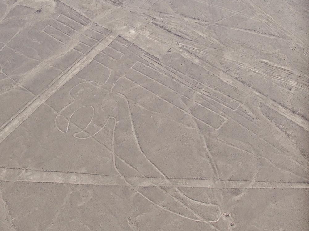 nazca