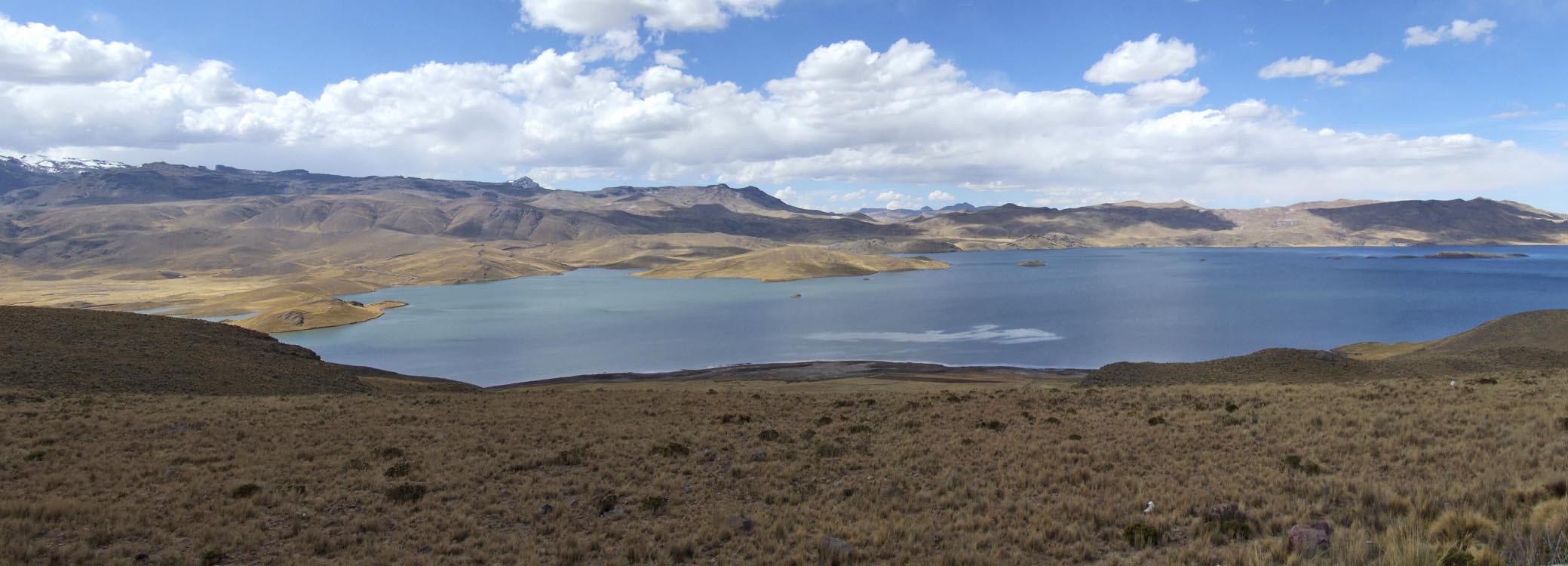 Altiplano