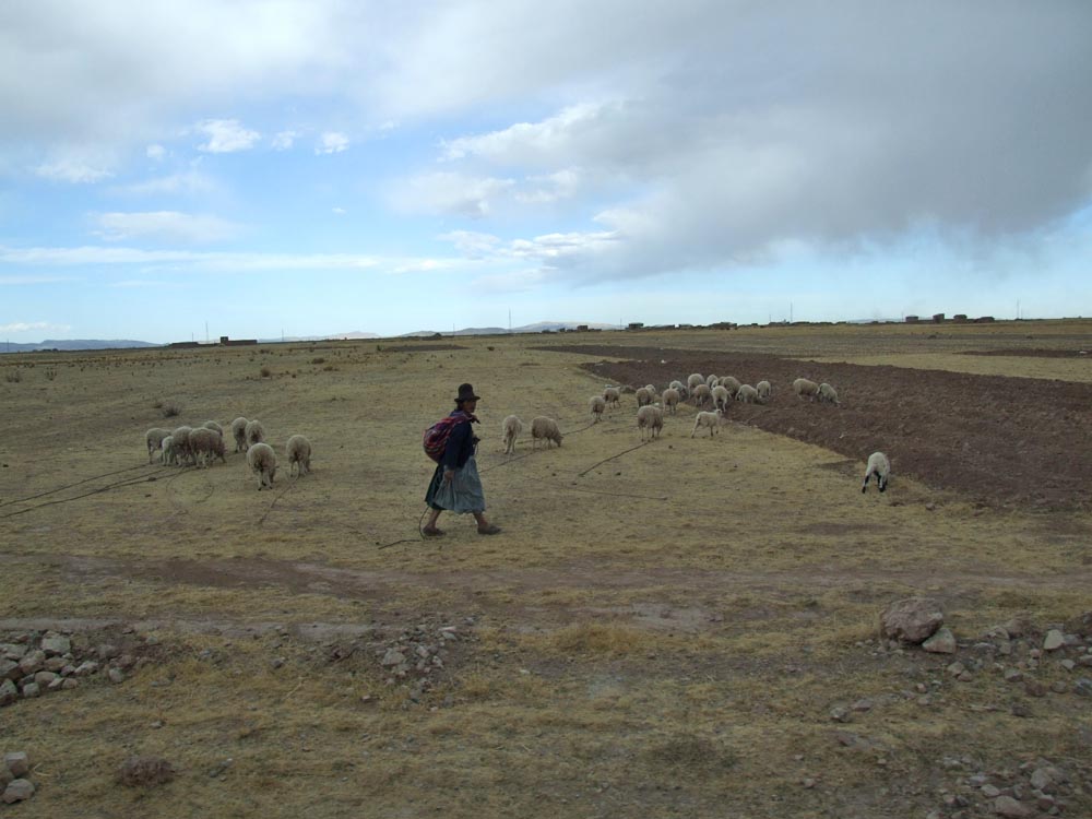Altiplano