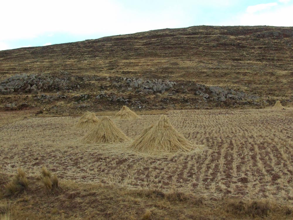 Altiplano