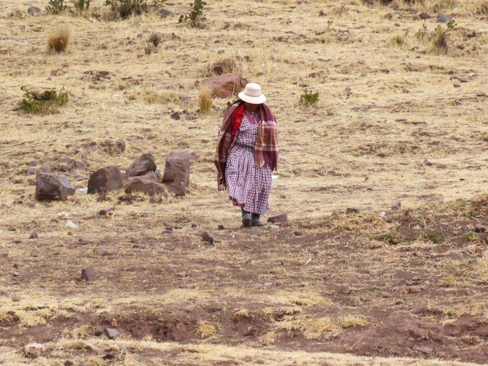 Altiplano