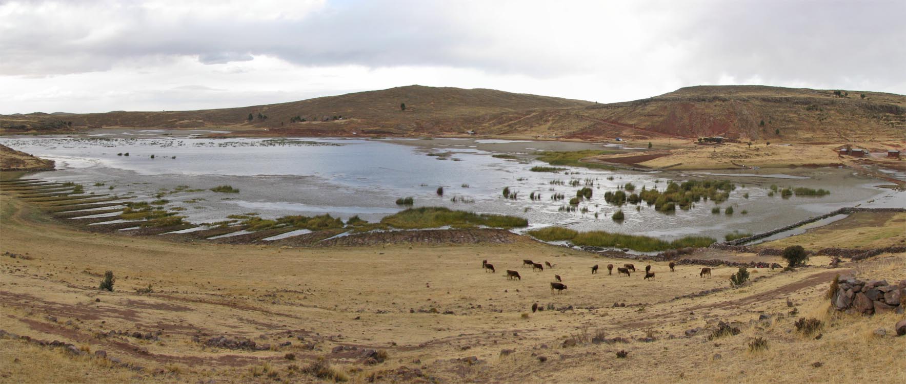 Altiplano
