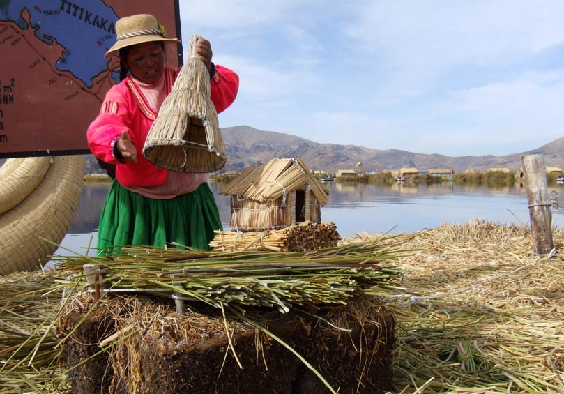 La totora sert à tout construire : sol, habitations, pirogues, objets divers