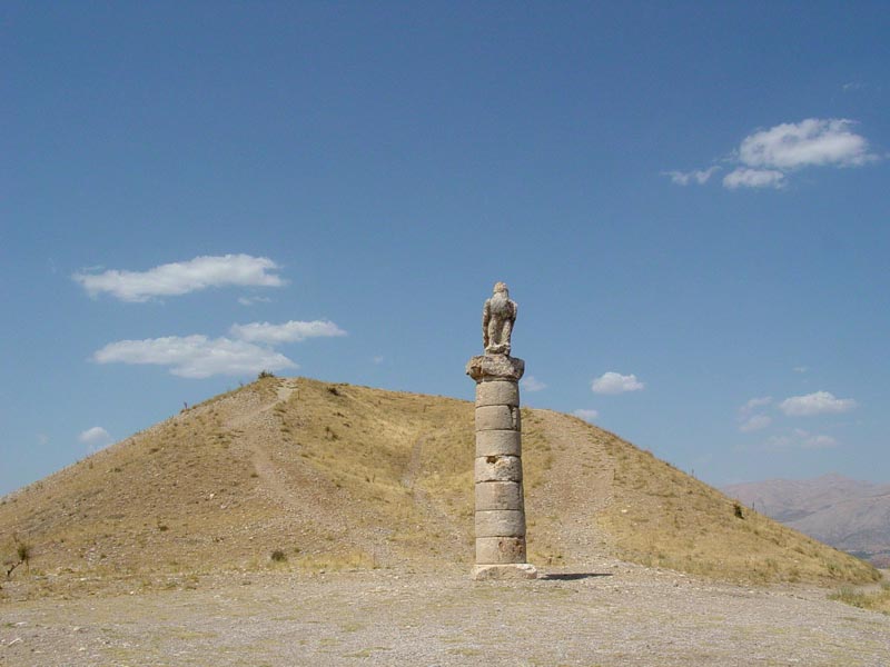 Karakus