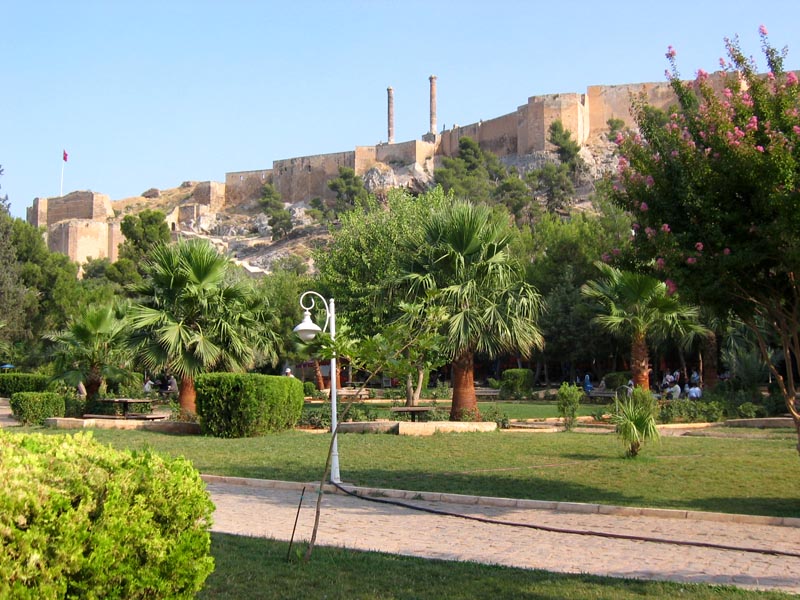la citadelle